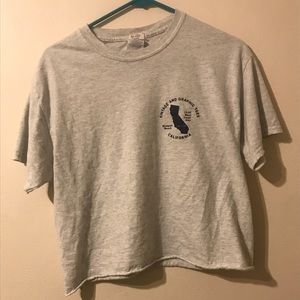 PacSun Baggy T-Shirt